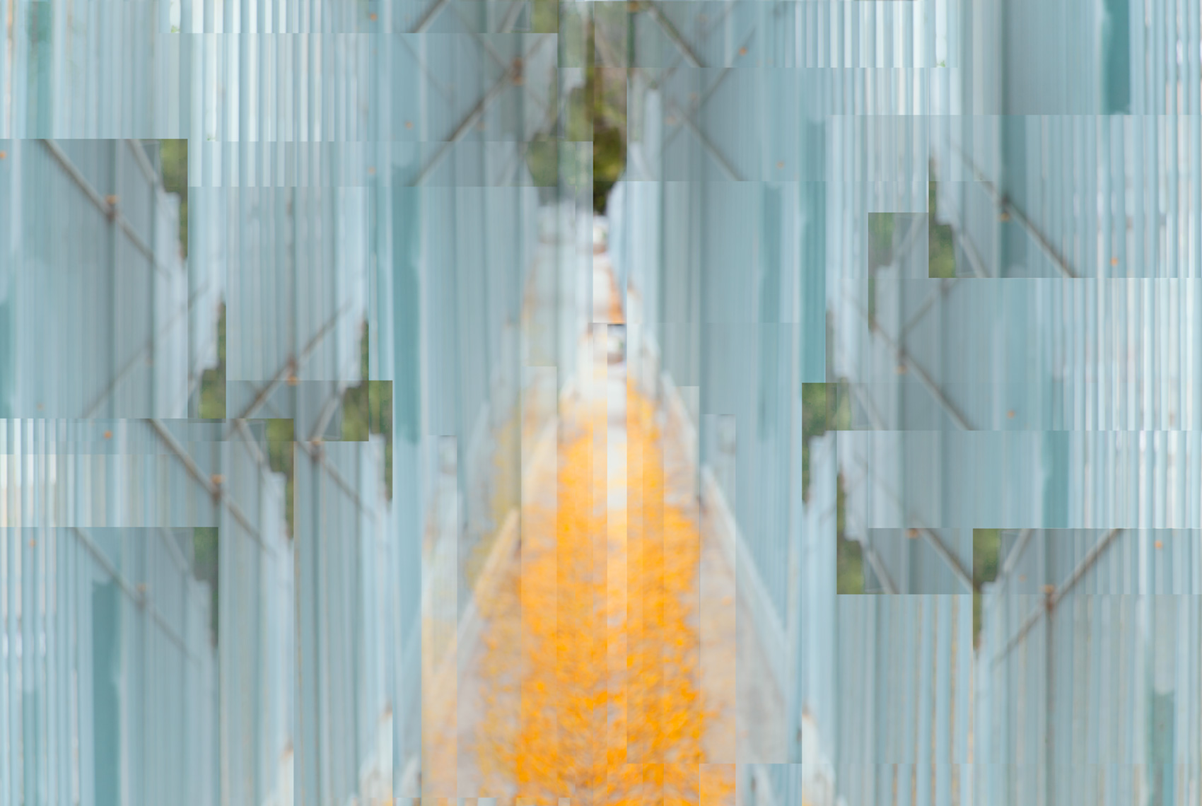 Golden Path to Happiness, 2015