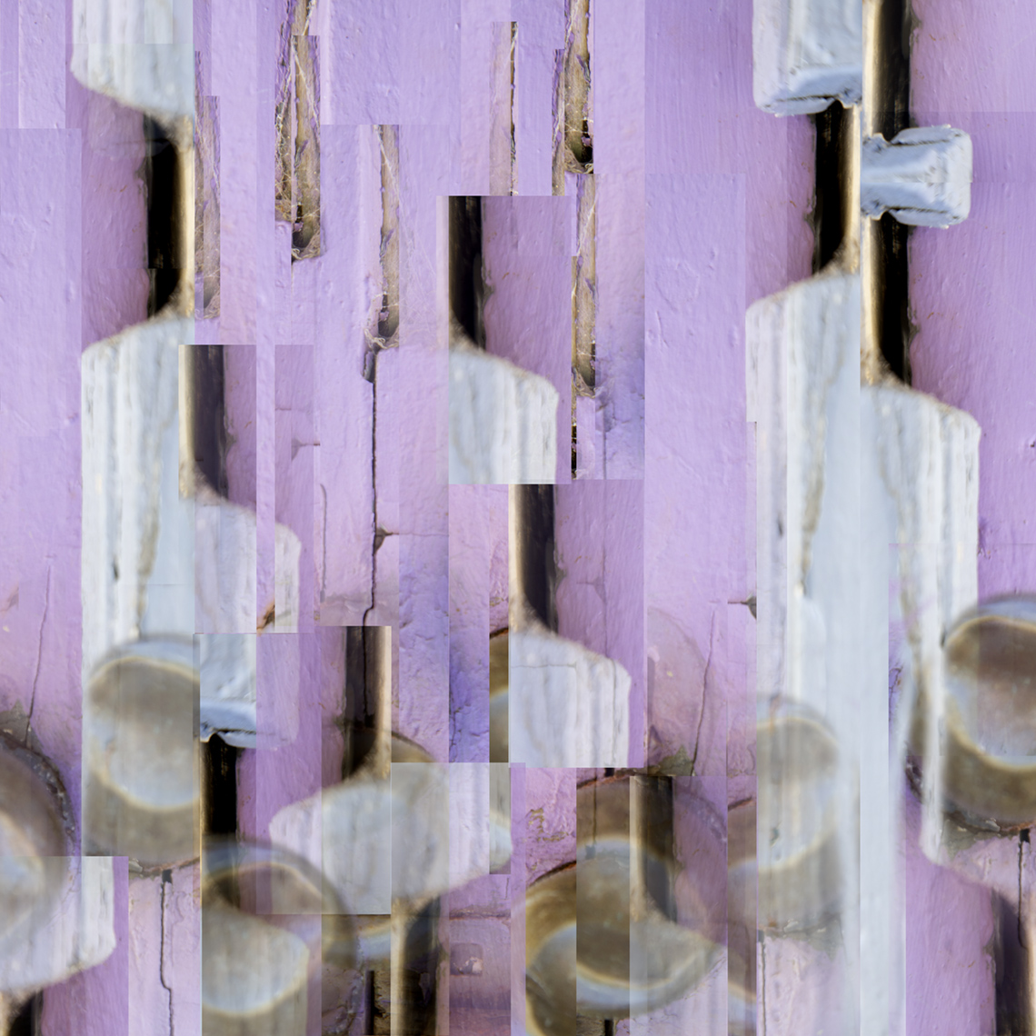 Landau_NZLavender